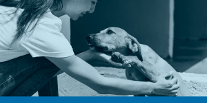 Adoptar una mascota