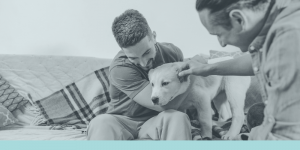 Adoptar una mascota